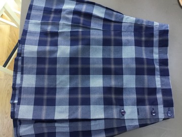 Selling with online payment: Blue check kilt