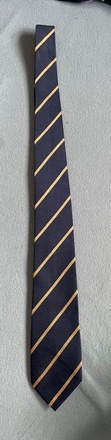 Robinson House ties