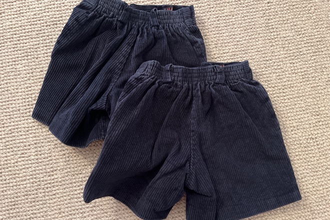 Navy Chord Shorts x2