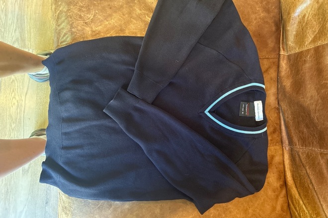 Blue v neck 