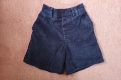 Selling with online payment: Navy Chord Shorts
