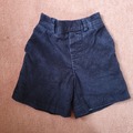 Selling with online payment: Navy Chord Shorts