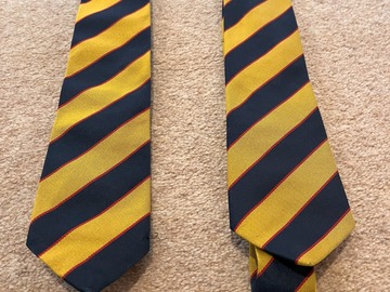 Selling with online payment: School Tie