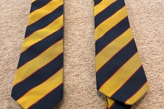 Selling with online payment: School Tie