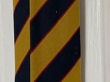 Selling with online payment: School Tie