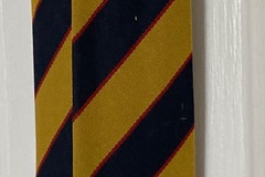 Selling with online payment: School Tie