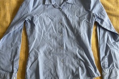 Selling with online payment: Blue Shirts