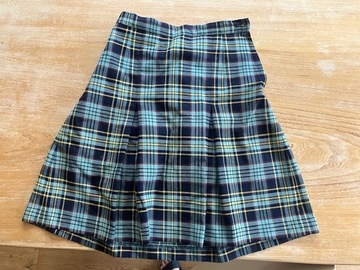 Selling with online payment: Pleat Skirt waist 26" Length 20"
