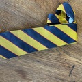 Selling with online payment: School Tie 45"