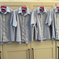 Selling with online payment: Blue Short-Sleeved Shirts (Yr 8/9) - 32" (13.5)