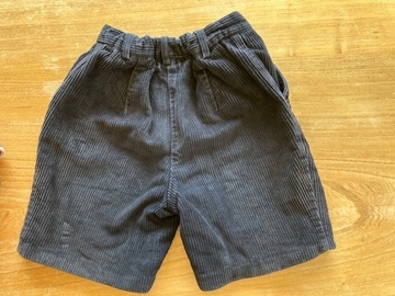 Selling with online payment: Navy Chord Shorts 24"
