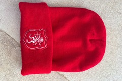 Selling with online payment: SHPP Woolly Hat