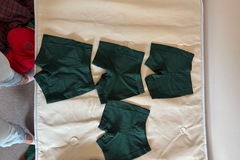 Selling with online payment: Brae PE Shorts