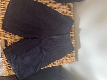 Selling with online payment: Navy Chord Shorts
